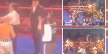Boxer attacked by fans with chairs in chaotic scene after winning fight