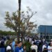 Fans lining up in the rain for a Dodgers-Guardians game.