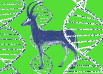 Is this ‘de-extinction’ project actually onto something?