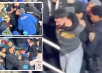 Mets, Twins fans engage in wild brawl as losing streak balloons to 12