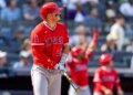 Mike Trout belts a solo home run in the seventh inning of the Yankees' 11-4 blowout loss to the Angels on April 16, 2026 at the Stadium.