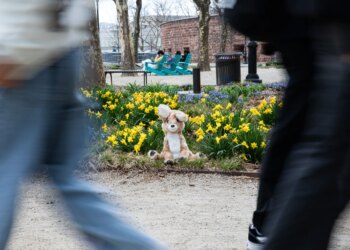 A Fawn Friend plush sits in a patch of daffodils while people walk past.