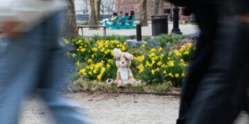 A Fawn Friend plush sits in a patch of daffodils while people walk past.