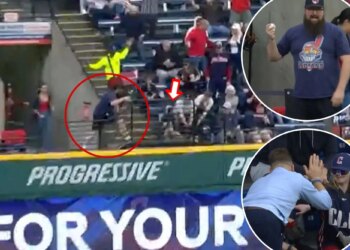 Rays reporter comes to rescue after man wrestles ball from young fan