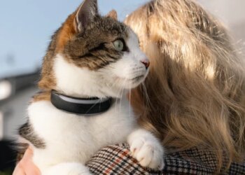 Tractive’s new dog and cat trackers provide more health insights for your pets