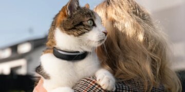 Tractive’s new dog and cat trackers provide more health insights for your pets