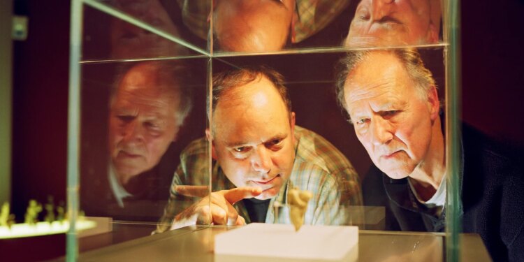 A still from Cave of Forgotten Dreams