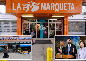 Zohrna Mamdani's NYC-run grocery store would compete with Harlem supermarkets that are ALREADY affordable
