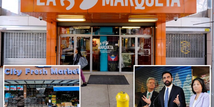 Zohrna Mamdani's NYC-run grocery store would compete with Harlem supermarkets that are ALREADY affordable