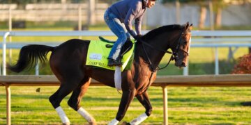 Kentucky Derby entrant Chief Wallabee with a jockey working out at Churchill Downs.