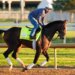 Kentucky Derby entrant Chief Wallabee with a jockey working out at Churchill Downs.