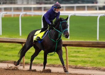 Kentucky Derby entrant Danon Bourbon works out at Churchill Downs.