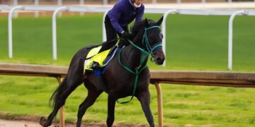 Kentucky Derby entrant Danon Bourbon works out at Churchill Downs.