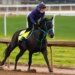 Kentucky Derby entrant Danon Bourbon works out at Churchill Downs.