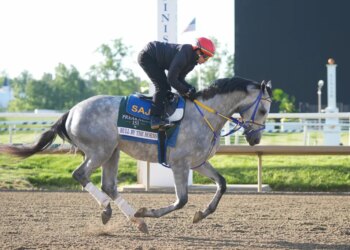 Preakness Stakes entry Bull By The Horns training during morning workouts.