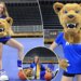 Allison Reid lived double life at Hofstra as cross country runner, mascot