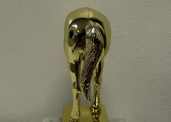 Behold, the Elon Musk jackass trophy