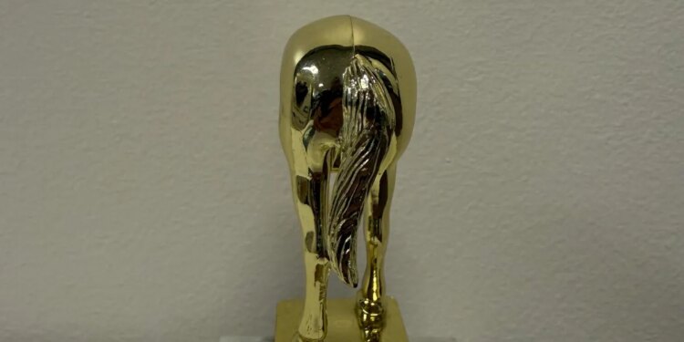 Behold, the Elon Musk jackass trophy