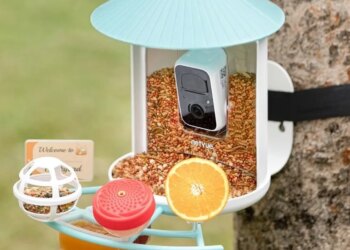 Birdfy’s smart bird feeder is down to its best-ever price for Mother’s Day