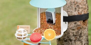 Birdfy’s smart bird feeder is down to its best-ever price for Mother’s Day