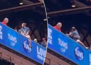 Cardinals fan dangerously hangs off upper deck ledge in terrifying scene