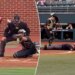 College baseball umpire knocked out of game by foul ball in terrifying scene