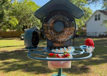 Coolfly’s Aura smart bird feeder review: More birds are better