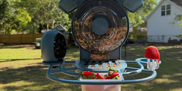 Coolfly’s Aura smart bird feeder review: More birds are better