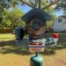 Coolfly’s Aura smart bird feeder review: More birds are better