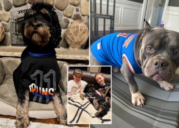 Dogs named Brunson are ready to watch the Eastern Conference finals