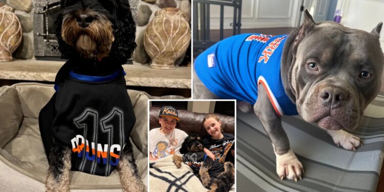 Dogs named Brunson are ready to watch the Eastern Conference finals