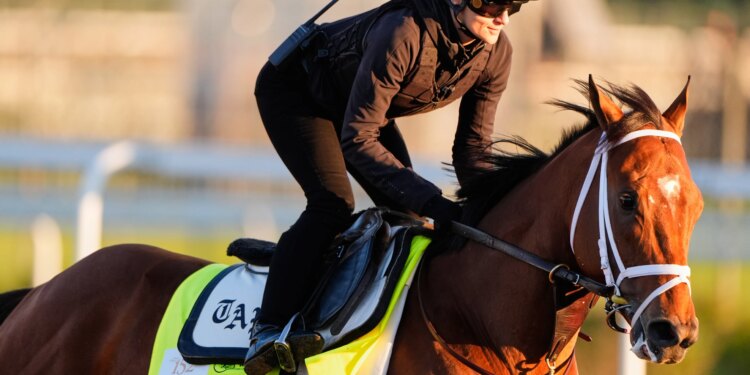 FanDuel Racing promo code for the Kentucky Derby: Bet $5, get $25 in racing bonus