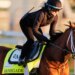 FanDuel Racing promo code for the Kentucky Derby: Bet $5, get $25 in racing bonus