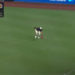 A baseball player in a white and dark blue uniform with a red glove fields a baseball on a green field during a game with a scoreboard showing the Cardinals vs. Padres, 5th inning, 0-0 score.