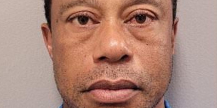 Tiger Woods poses for a mugshot.