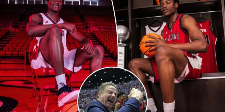 Four-star forward Theo Edema commits to St. John's