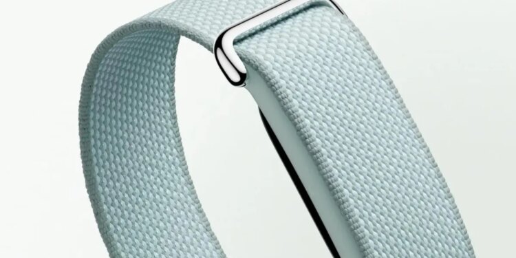 Google Fitbit Air preorders come with a second band for free