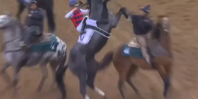 Great White was scratched late ahead of the Kentucky Derby.