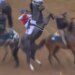 Great White was scratched late ahead of the Kentucky Derby.