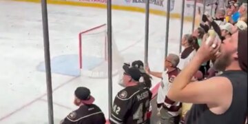 Hershey Bears
