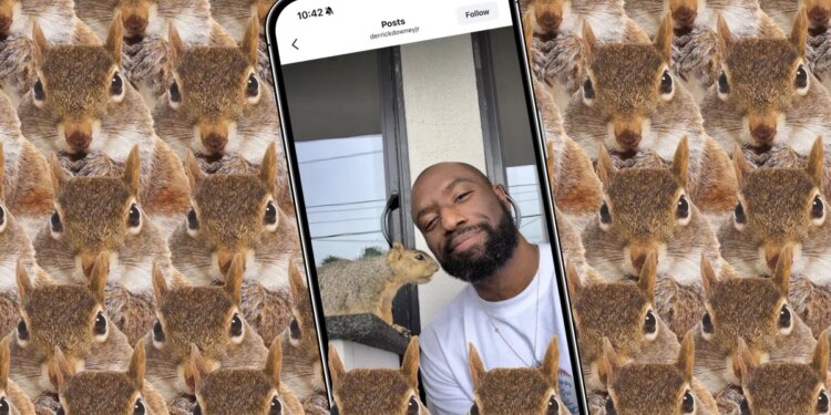 How the internet’s favorite squirrel dad made a hit camera app