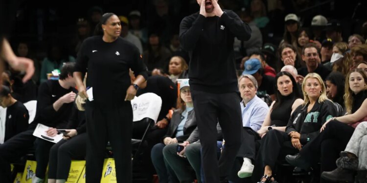 New York Liberty head coach Chris DeMarco yells during the first half of a preseason WNBA game against the Indiana Fever at the Barclays Center in Brooklyn, N.Y. on Saturday, April 25, 2026.