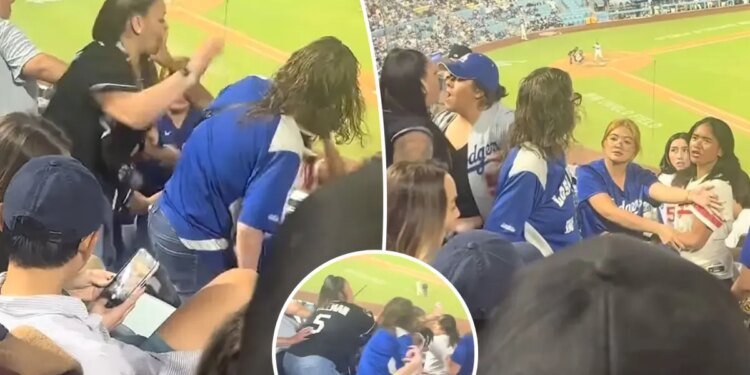 Los Angeles Dodgers fan brawl captured as fans hurl haymakers