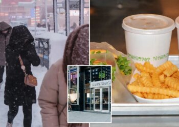 Shake Shack shares shook by sales shock, sliding 30%
