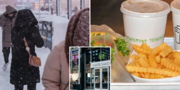 Shake Shack shares shook by sales shock, sliding 30%
