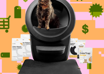 The Litter-Robot 4 bundle is back down to its best price of the year