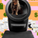 The Litter-Robot 4 bundle is back down to its best price of the year