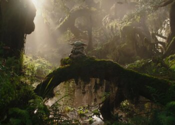 Grogu sitting and meditating on a tree branch in a swampy forest.