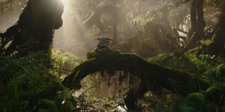 Grogu sitting and meditating on a tree branch in a swampy forest.