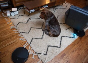 The things a robot vacuum reviewer’s dog has to deal with …
